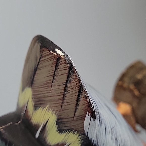 Wooden Duck Decoy Figurine Statue Painted - Picture 13 of 13